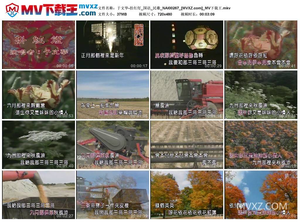 于文华-挂红灯_国语_民歌_NAI00267